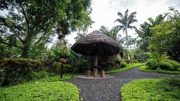 Terrein van de accommodatie