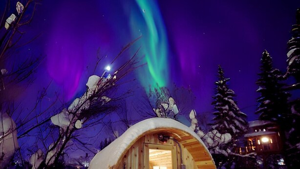 A wooden cabin with a door and windows, surrounded by snow-covered trees and a snowy ground. - It is a tiny home in the treehouse located in the middle of Fairbanks. (Fairbanks)