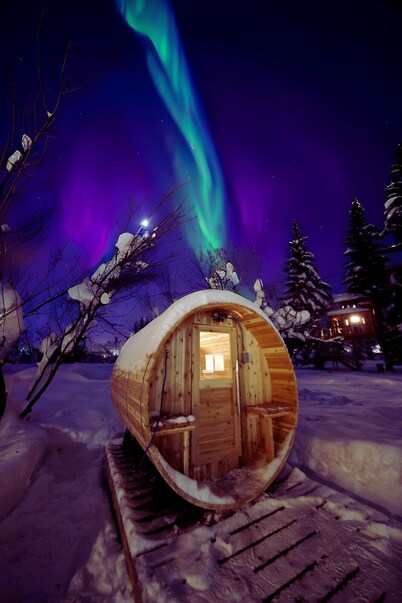 It is a tiny home in the treehouse located in the middle of Fairbanks.