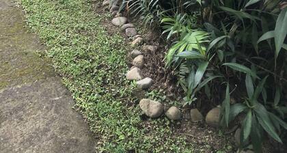 Cozy Apt. in the heart of Mata de Platano