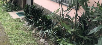 Cozy Apt. in the heart of Mata de Platano