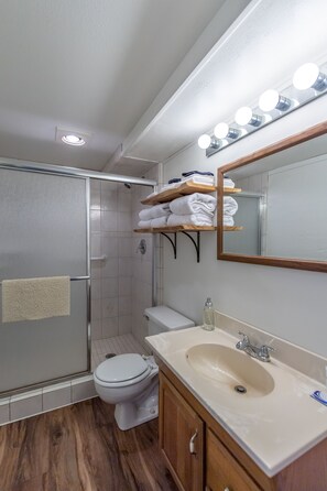 Une salle de bain équipée d’une douche, de toilettes, d’un lavabo et d’un miroir avec éclairage.
