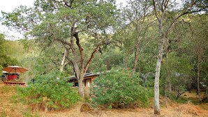 A rustic cabin surrounded by dense trees and a large rock in the foreground. - Red Mountain Suite 1 mile to Sequoia Natl Park! (Three Rivers)