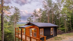 En hyggelig hytte med træterrasse og ståltag, omgivet af træer og med et bjerglandskab i baggrunden.