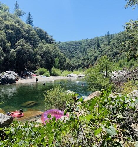 Holly’s Cottage in the Woods is meant for people who love to unplug.