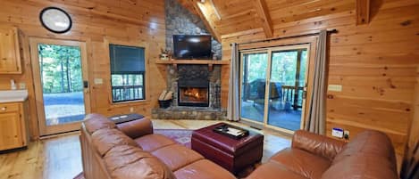 Smart TV, fireplace, books
