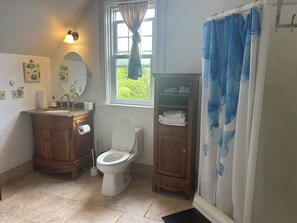 Shower, towels, soap, toilet paper