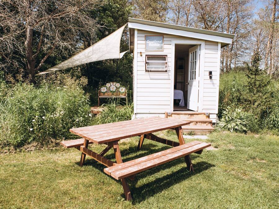 Una cabaña pequeña con una mesa de picnic al frente.