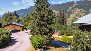 A mountain lodge with a paved driveway, surrounded by dense forest and mountains. - Appartement Bridan - Welkeys (Megève)