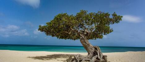 Beach nearby, sun loungers, beach towels
