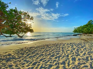 A beach with clear skies, calm waters, and a tree providing shade.