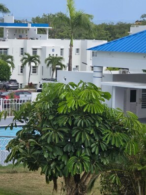 A building with a blue roof, surrounded by greenery and a swimming pool. - 
Luna del Mar PR – A Place to Dream & Explore (Ceiba)