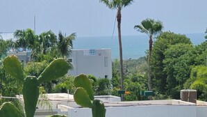 Uma planta de cacto com flores vermelhas em primeiro plano, uma cerca de arame e, ao fundo, a vista de um edifício com telhado plano e aparelhos de ar condicionado.