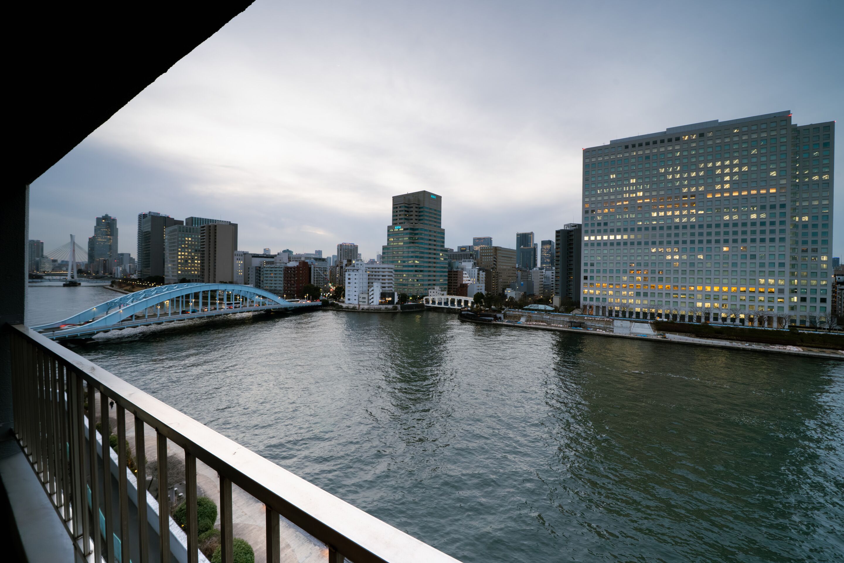 Premier Suite | View from room