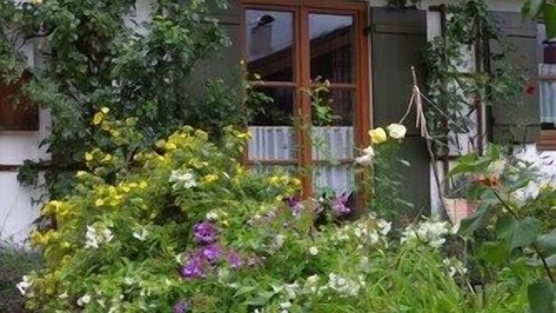 Un jardín con diversas flores y plantas frente a un edificio con puerta y ventanas de madera.