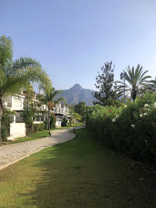 A pathway leading to a building with a mountain in the background.