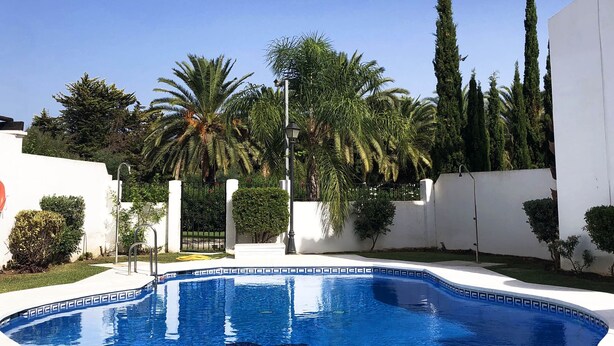 A swimming pool with a clear blue water surface, surrounded by white walls and palm trees.