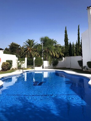 A swimming pool with a clear blue water surface, surrounded by white walls and palm trees.