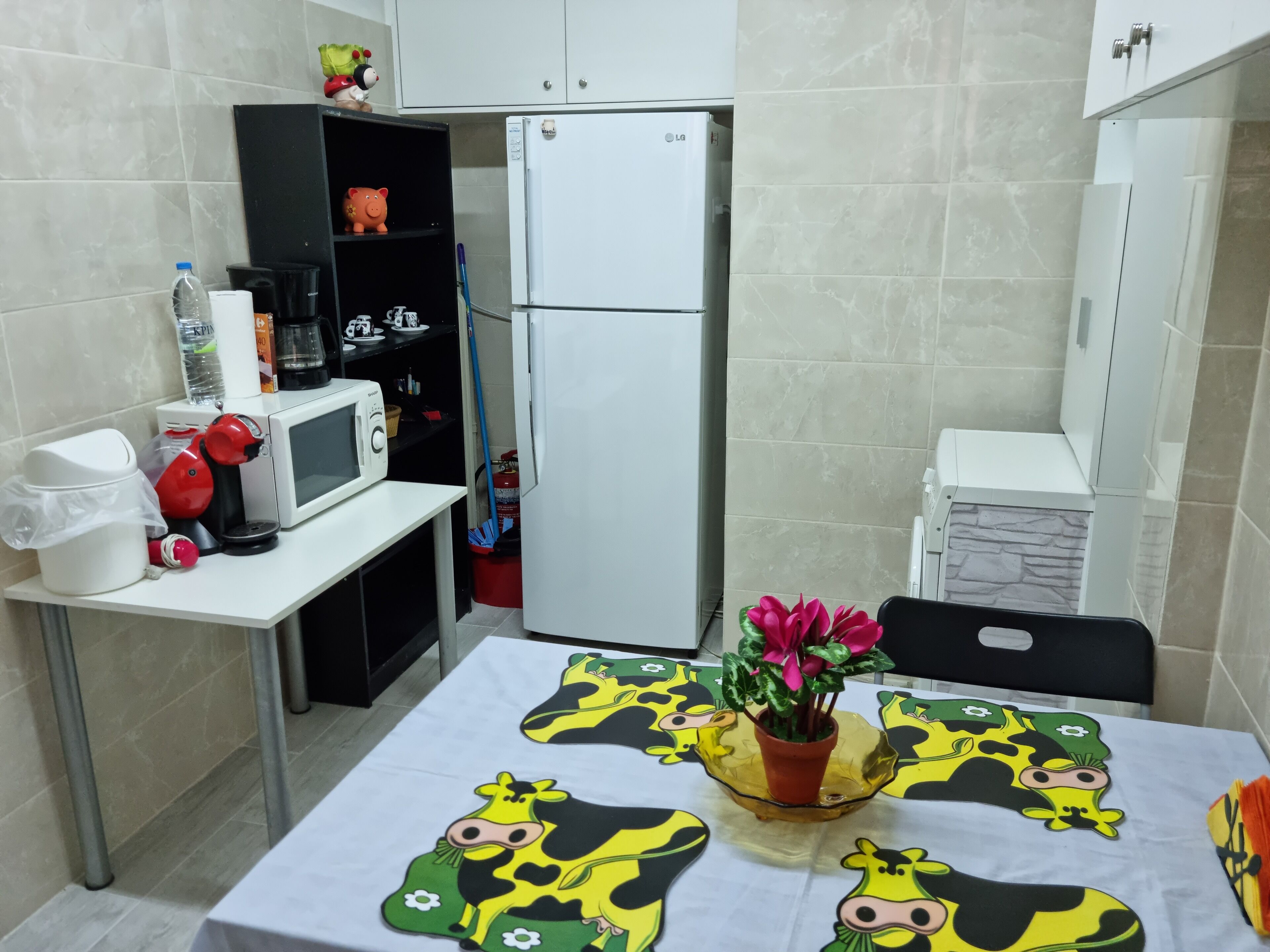 Fridge, microwave, oven, coffee/tea maker