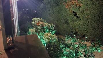 Un espacio exterior iluminado de noche con un sendero, plantas con luz y un árbol grande.