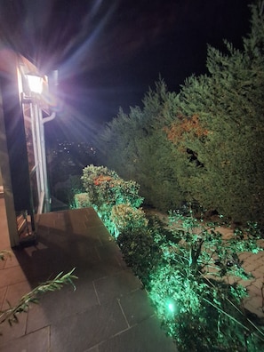 A nighttime outdoor area with a pathway, illuminated plants, and a large tree.
