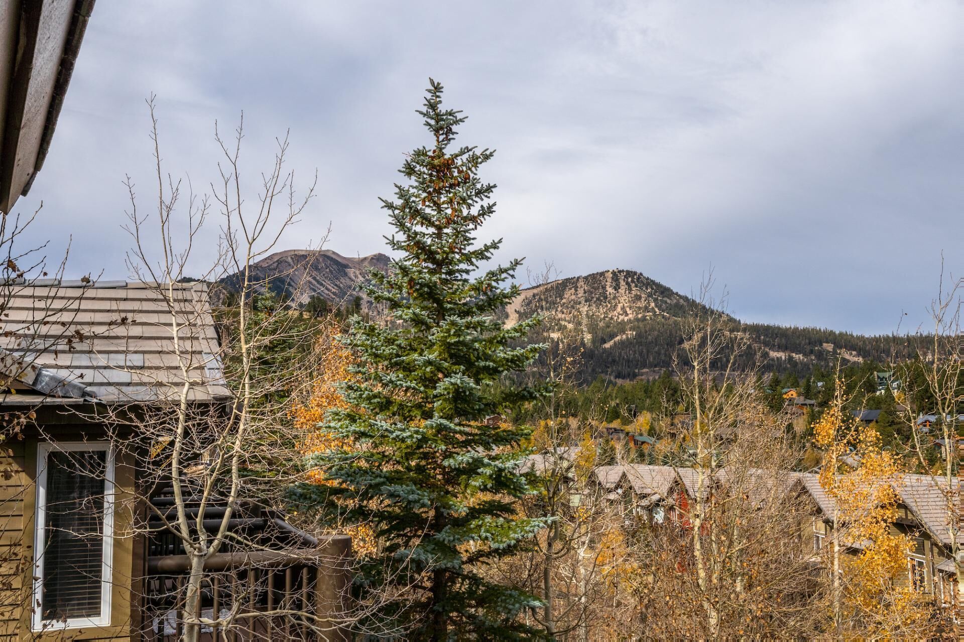 A mountain landscape with a cabin and a coniferous tree in the foreground.