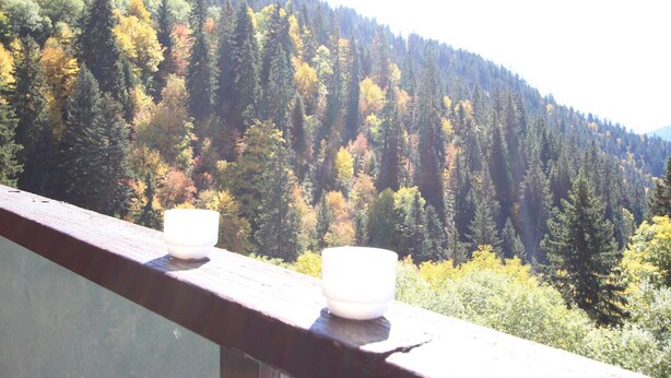 Un balcón con dos tazas blancas sobre un alero de madera, con vistas a una ladera boscosa.
