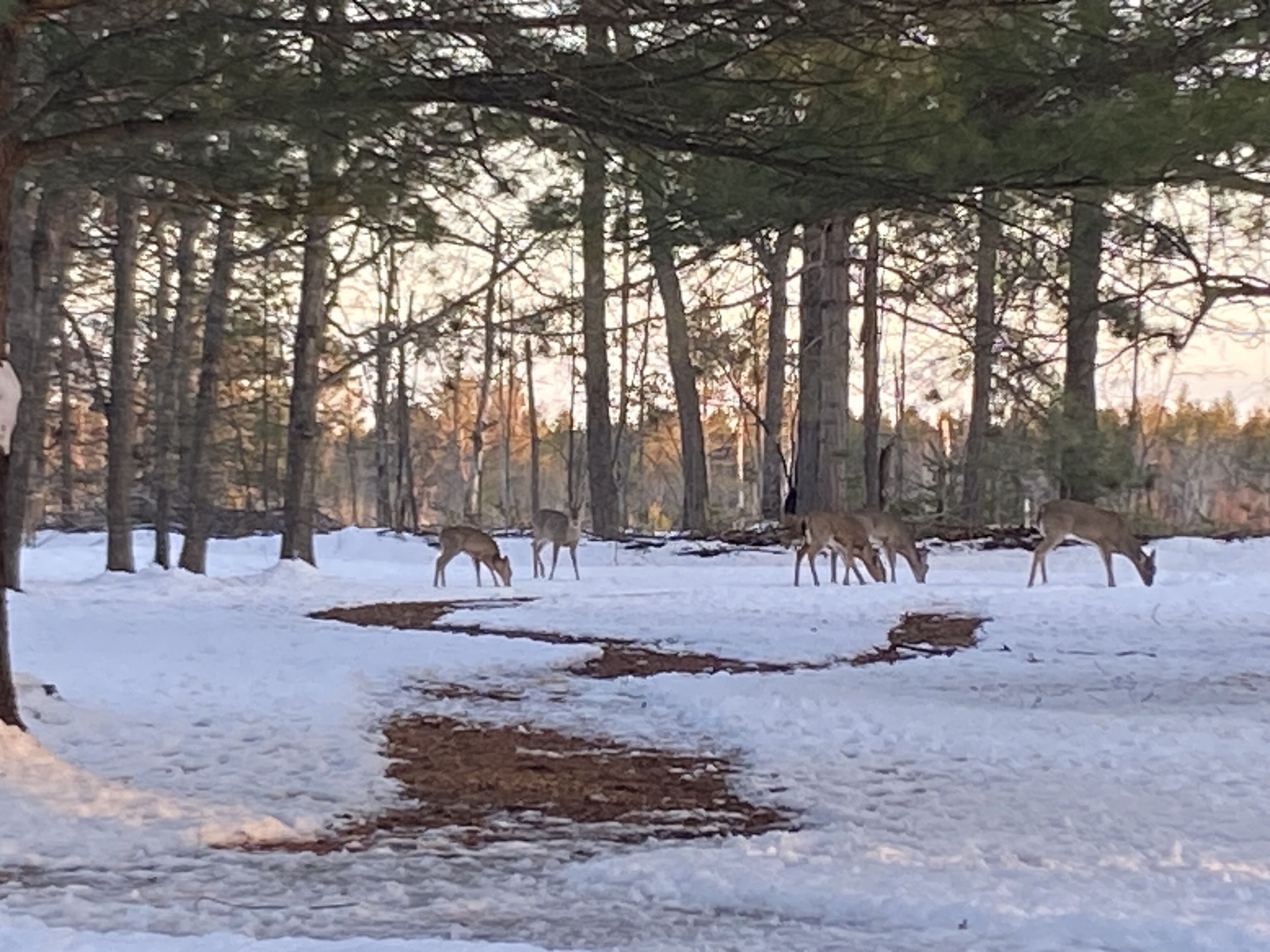 Relax during the stay!
