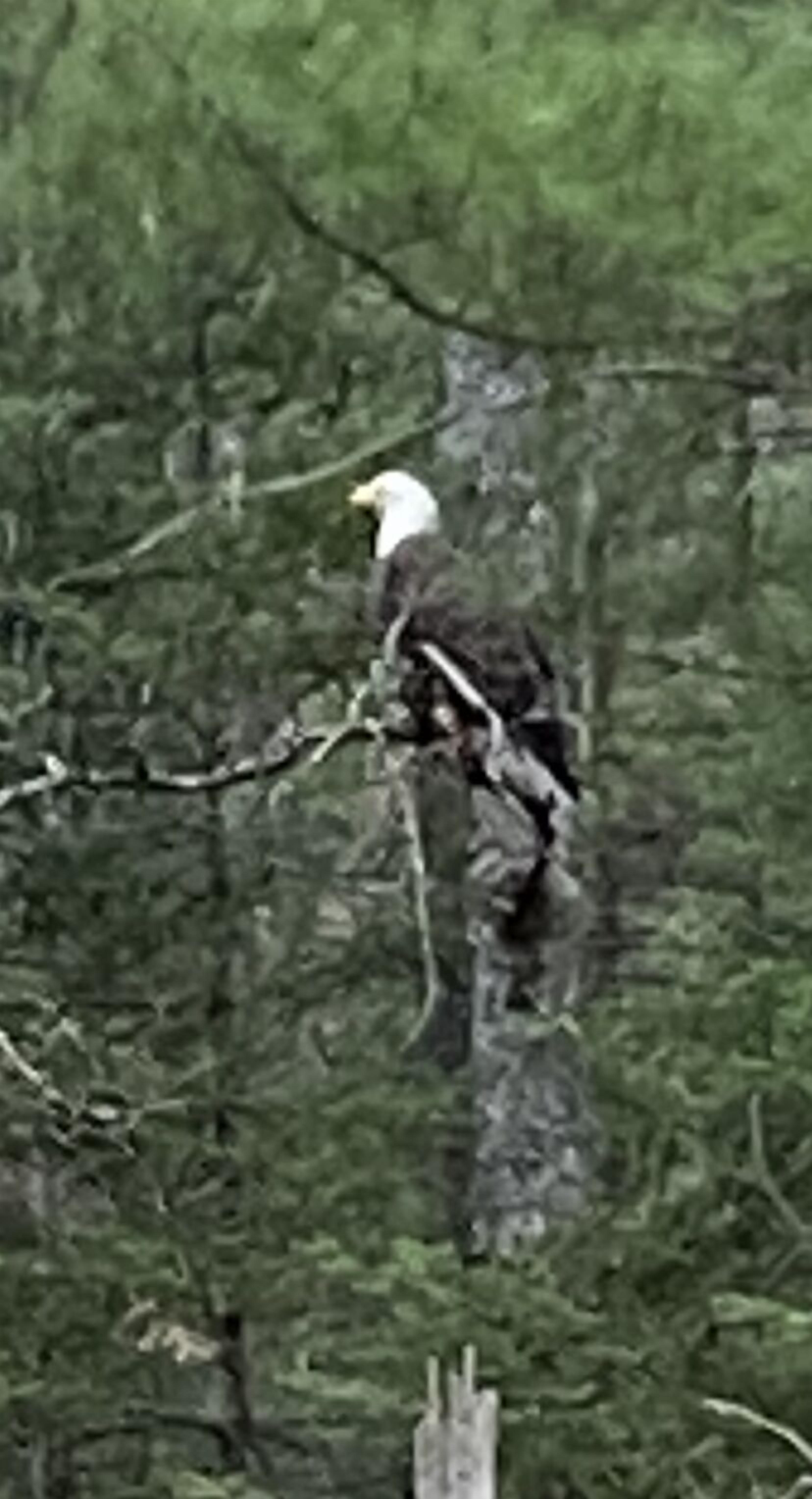 Relax during the stay!