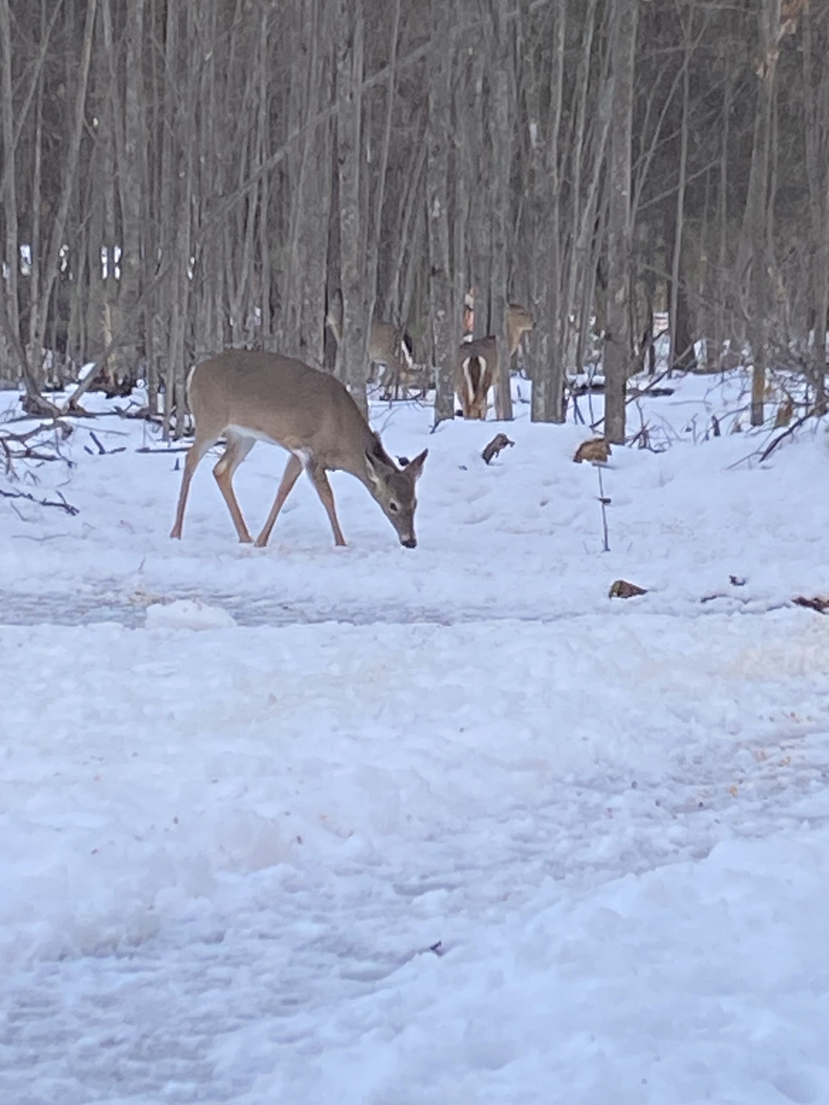 Relax during the stay!