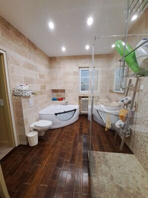 Combined shower/tub