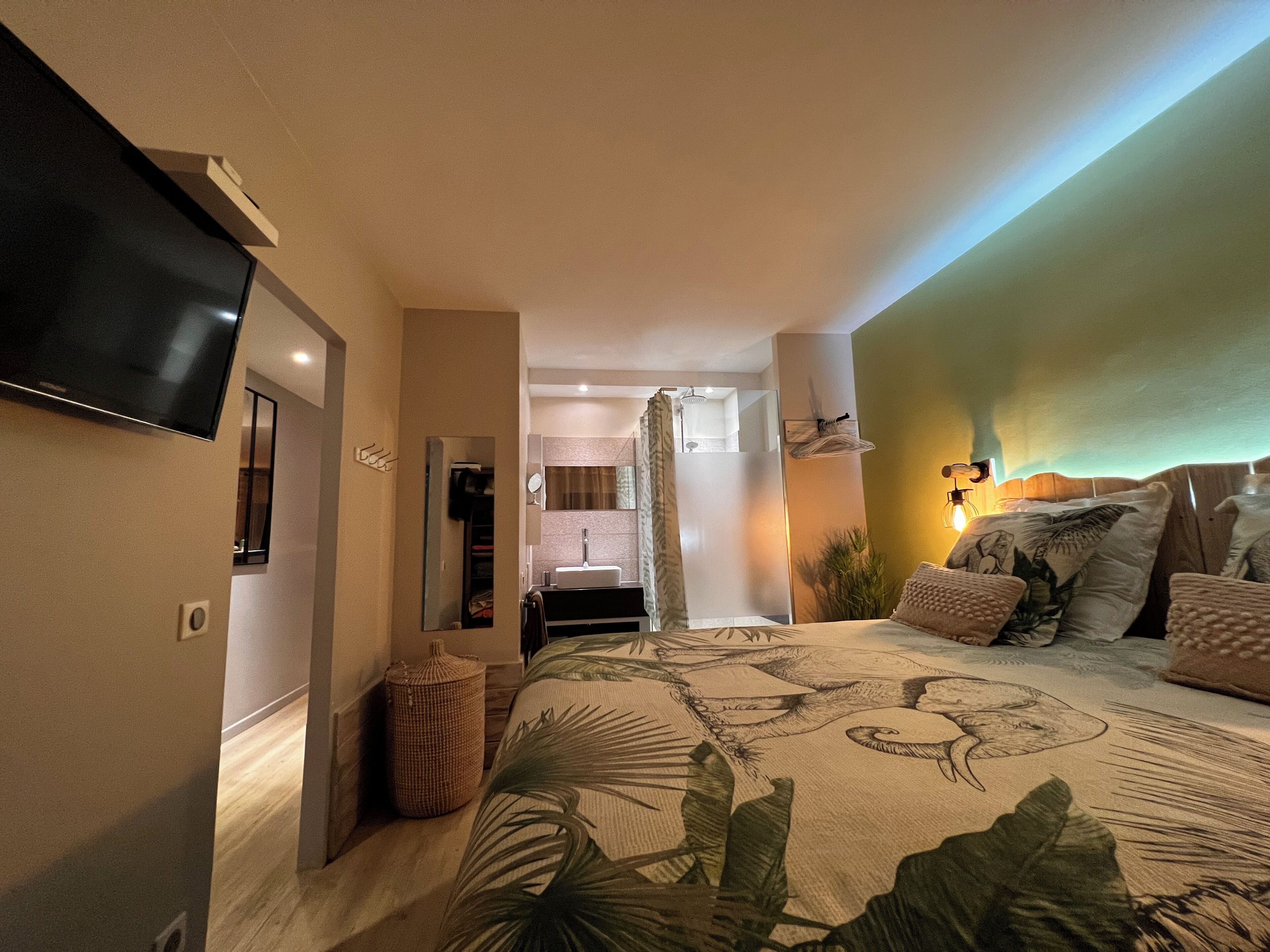 A bedroom with a bed, a television, a bathroom with a shower, and a wall-mounted light fixture.