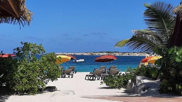 A beachside view with lounge chairs and umbrellas, a clear blue sky, and a calm sea.