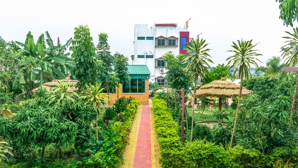 Un sentier de jardin mène à un bâtiment surmonté d’un toit végétalisé, entouré d’une végétation luxuriante et de palmiers.