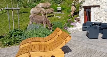 Logement de vacances "Maison de pierre" avec vue magnifique