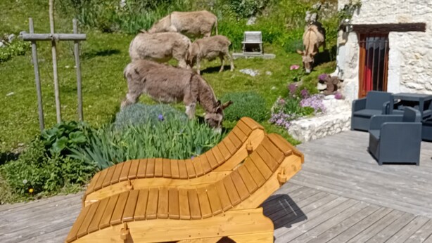 A wooden deck with outdoor furniture, a stone building, and grazing animals. - Holiday Accommodation "Maison de pierre" with beautiful view (Saint-Gervais)