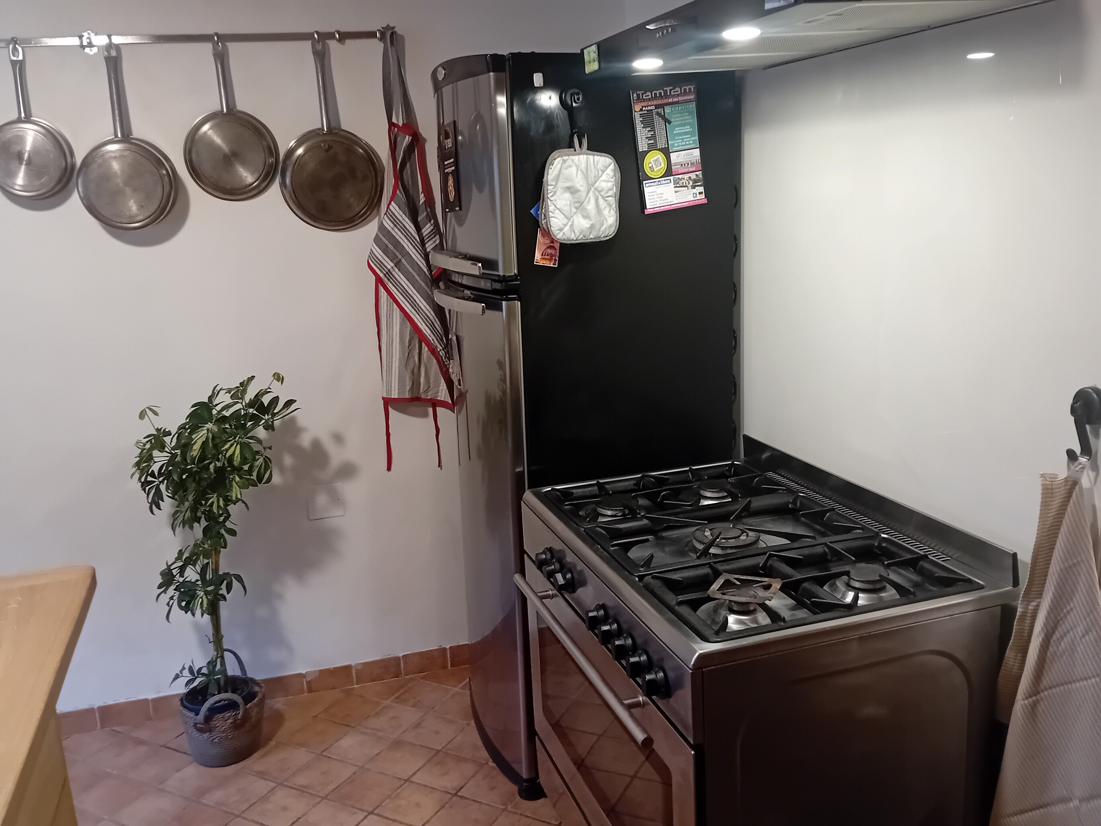 Een keuken met een gasfornuis, hangende pannen, een koelkast en een plant in een pot.