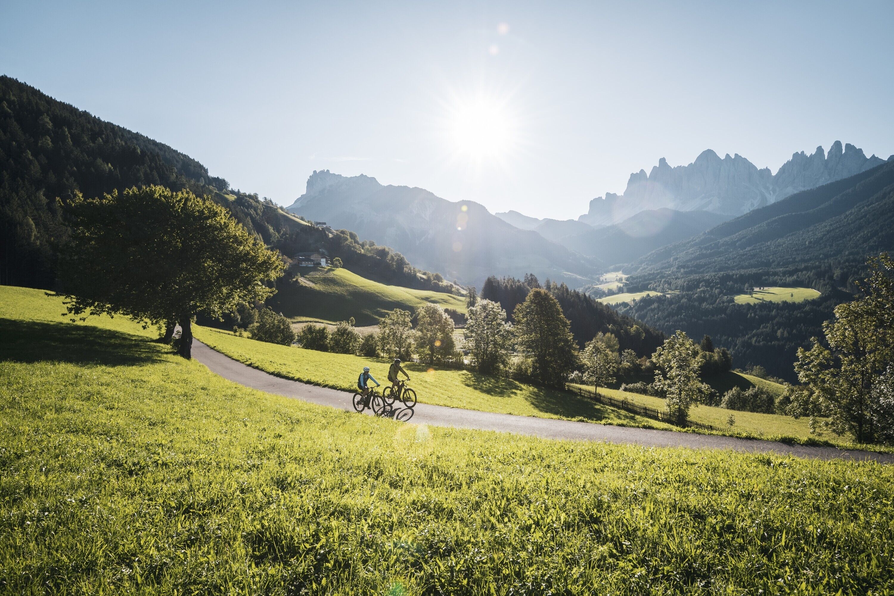 A rural landscape with a winding road, cyclists, and a clear sky.