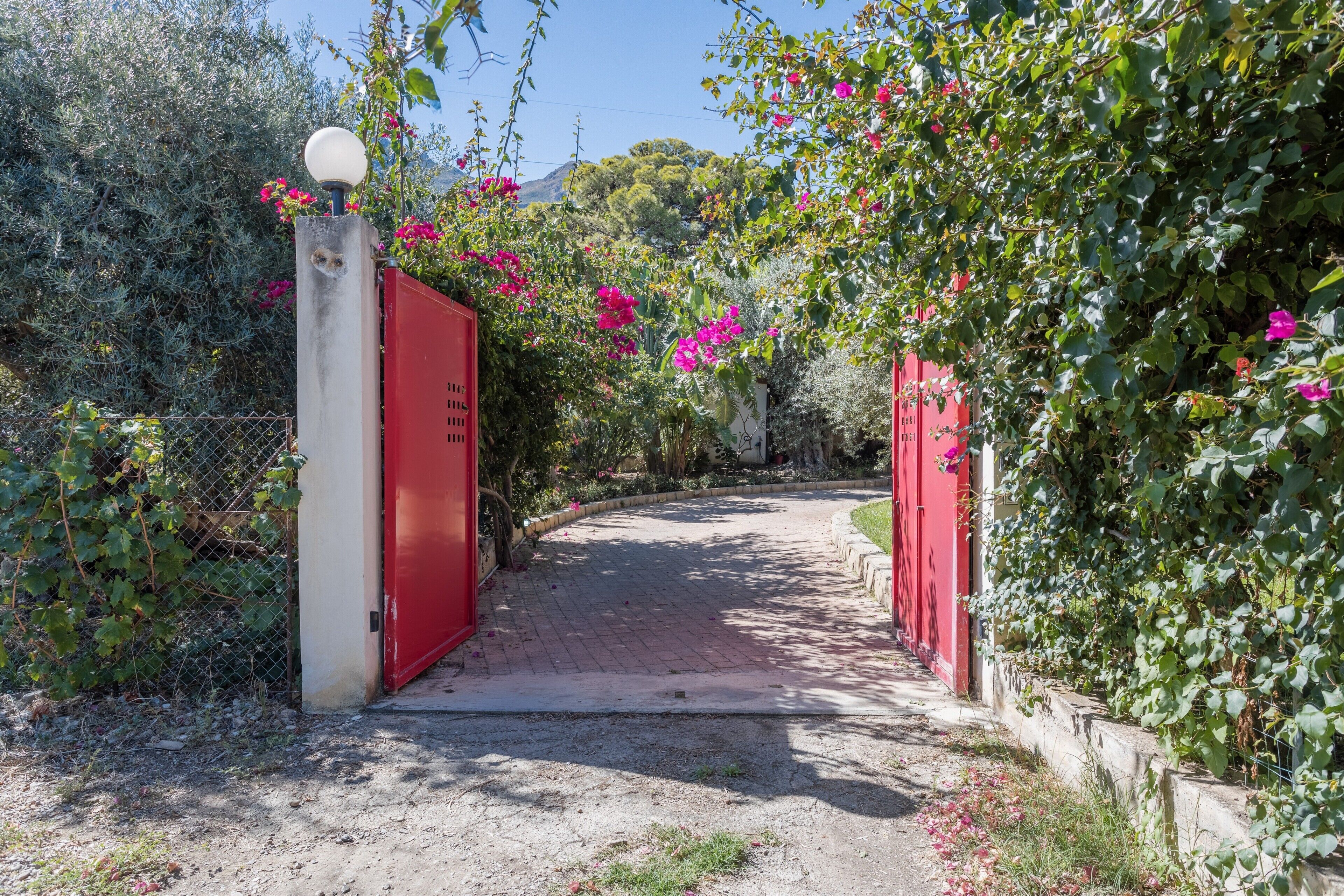 Un sentier menant à une porte rouge, entourée de verdure et de fleurs.