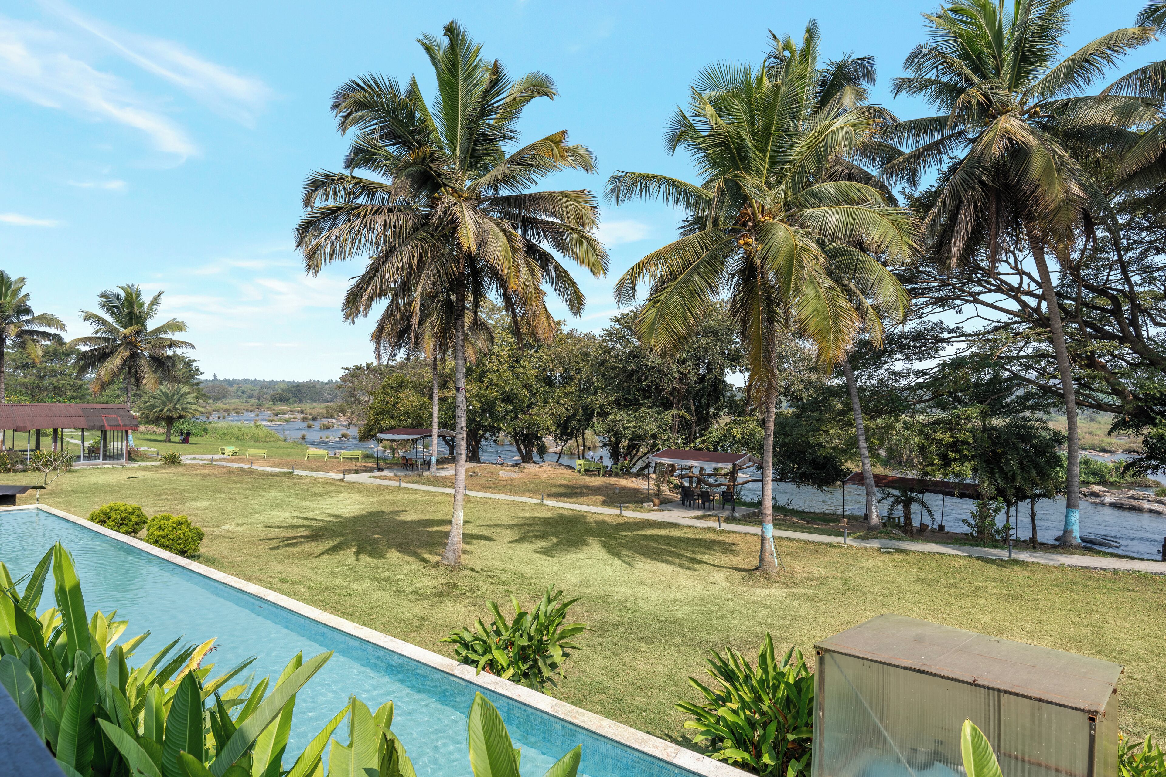 A poolside view with palm trees, a grassy area, and a body of water in the background.
