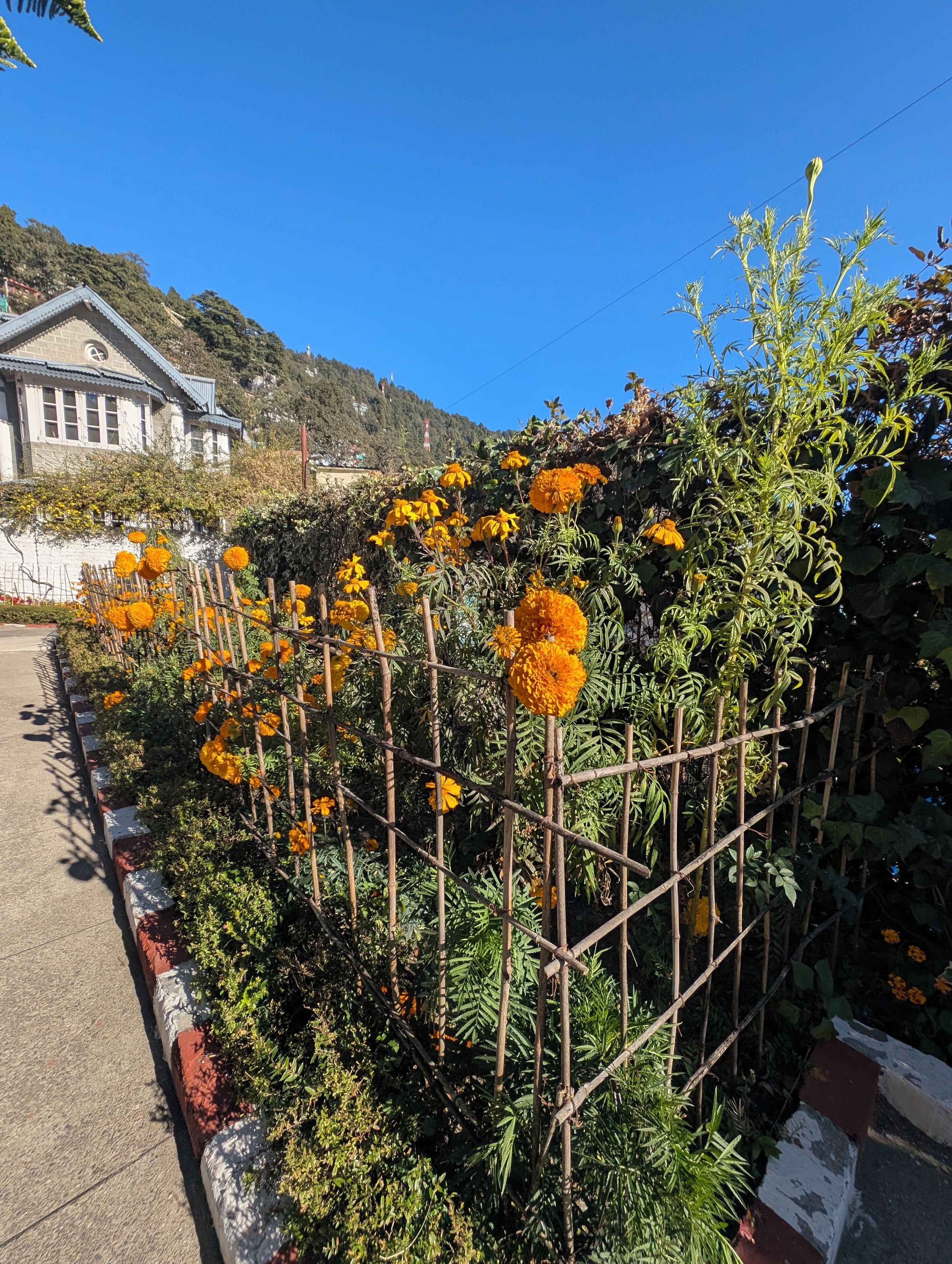 واجهة المنشأة