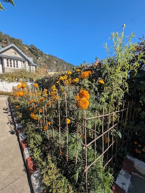 Front of property - The Palace Belvedere By Royal Collection (Nainital)