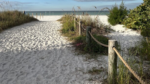 Strand