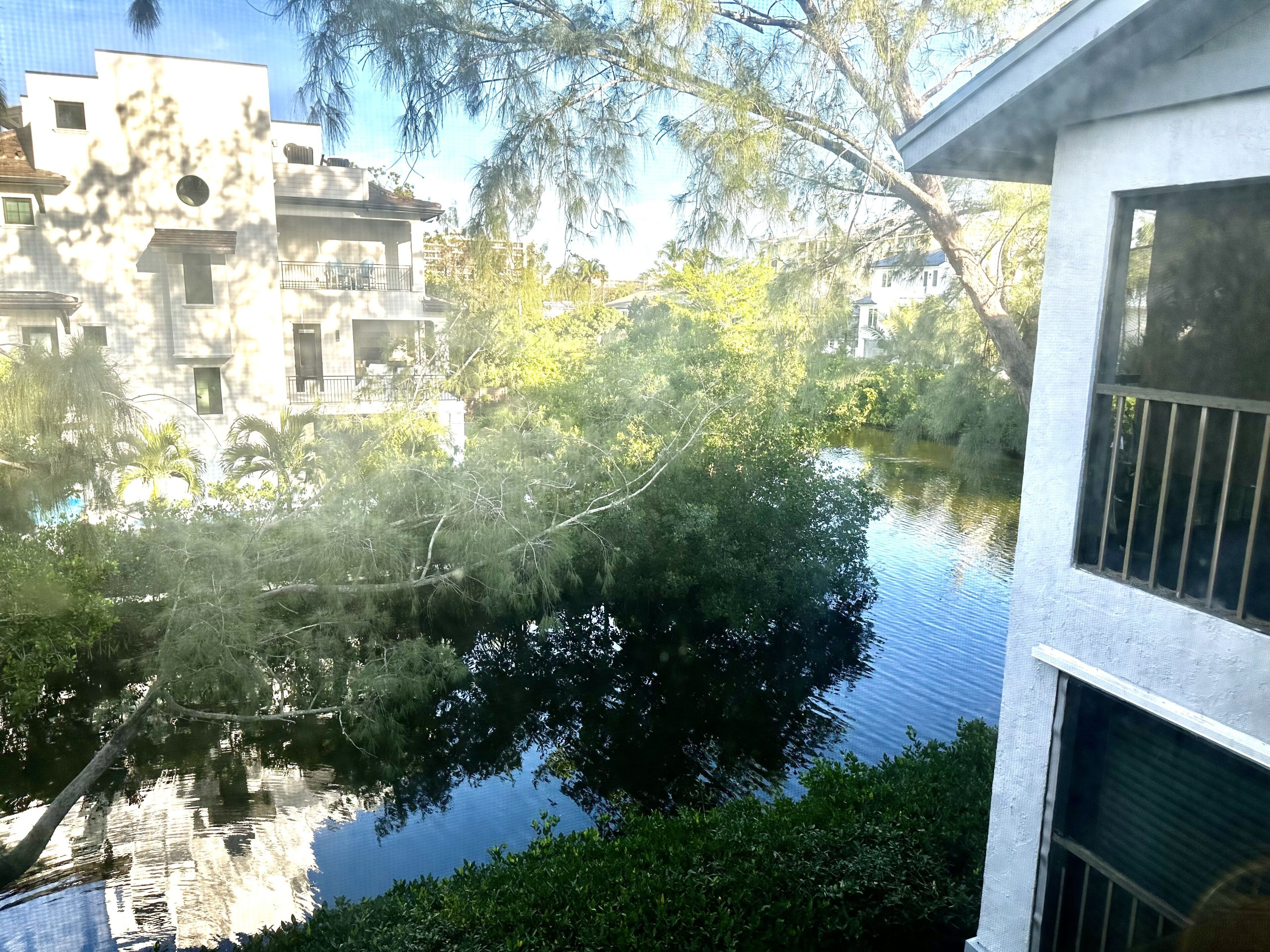 A view of a river with buildings and trees in the background.
