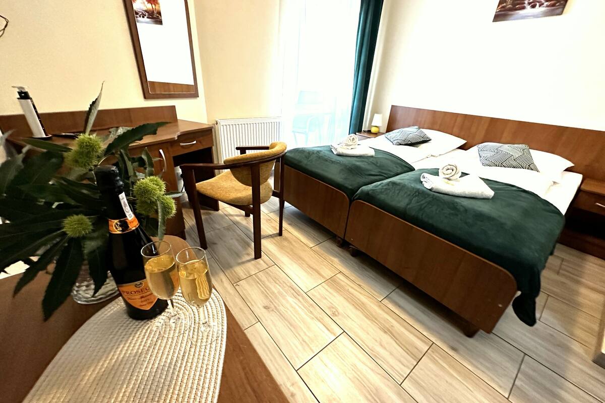 Una habitación de hotel con una cama, una silla, un escritorio, un radiador, una planta y una botella de champán.