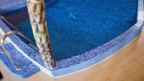 An indoor swimming pool with a tropical mural, a palm tree, and a clear blue pool. - Rezydencja Korab (Międzyzdroje)