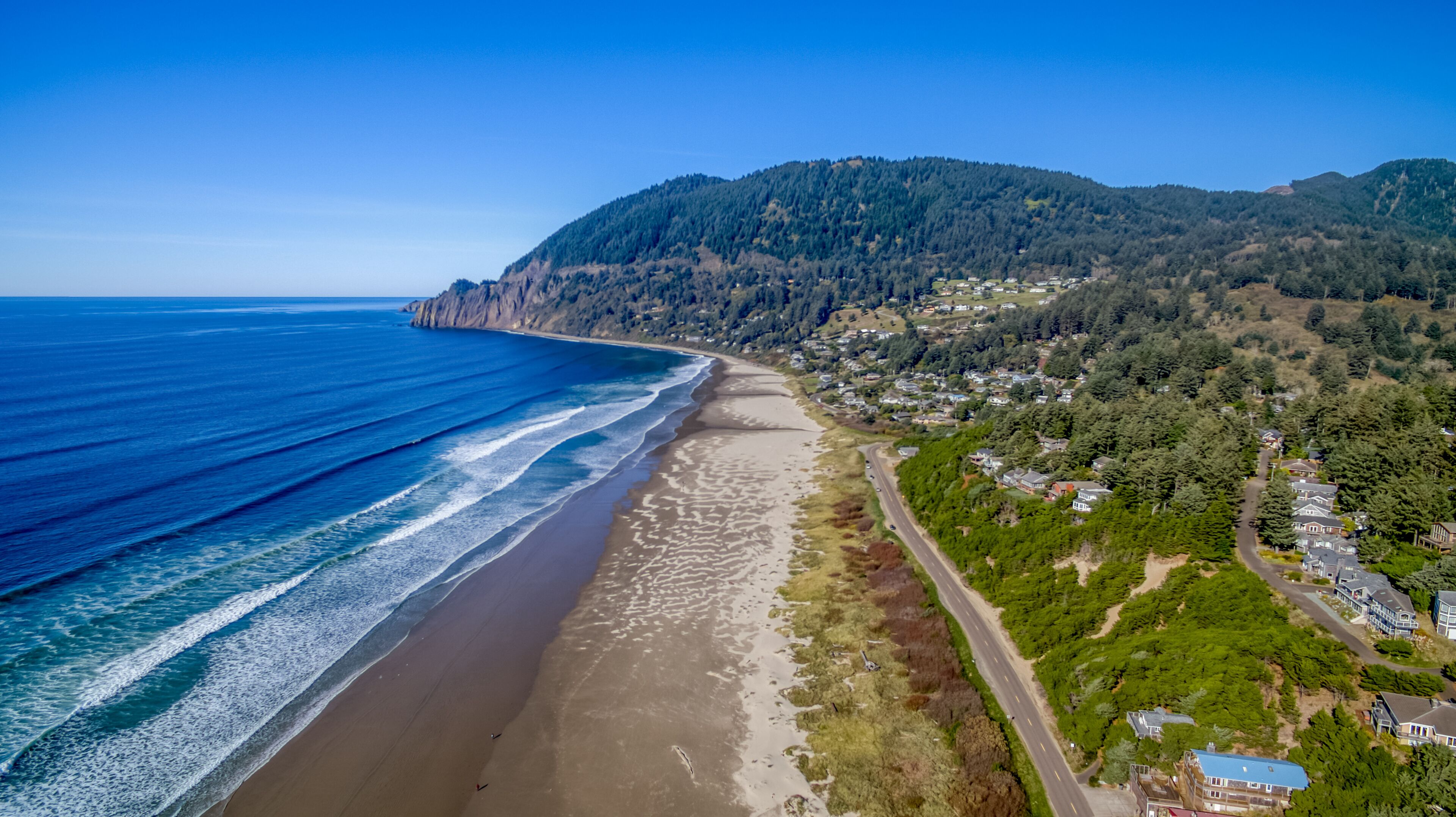 Manzanita 27.jpg