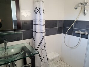 Combined shower/tub, hair dryer, toilet paper