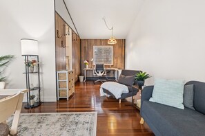 Smart TV, fireplace, books, computer monitors