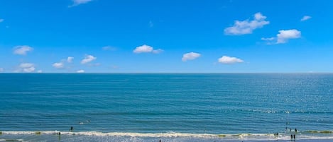 在海灘附近